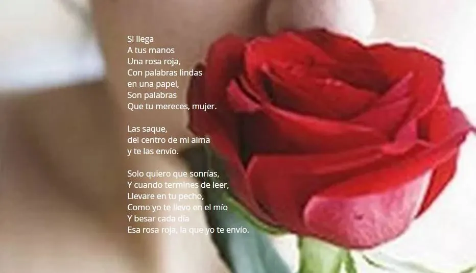 Poema Rosa Roja de Pedro Morales