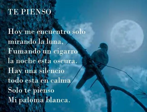 Poema Te Pienso de Pedro Morales